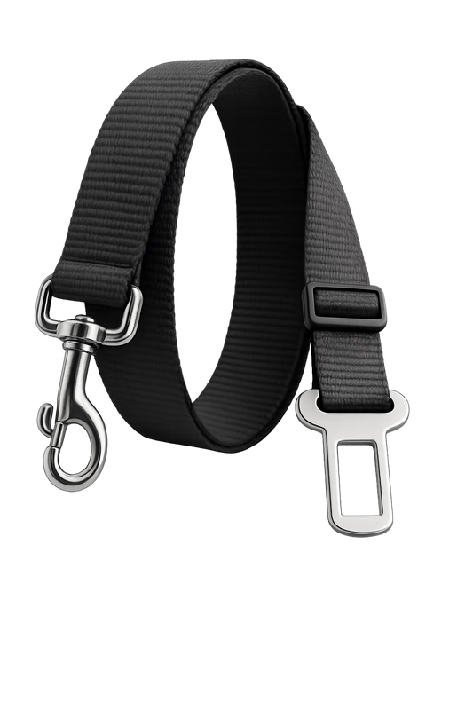 Safety Travel Buckle.