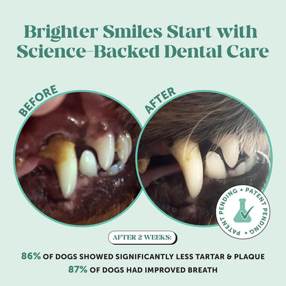 Oravive Daily Dental Support for Dogs