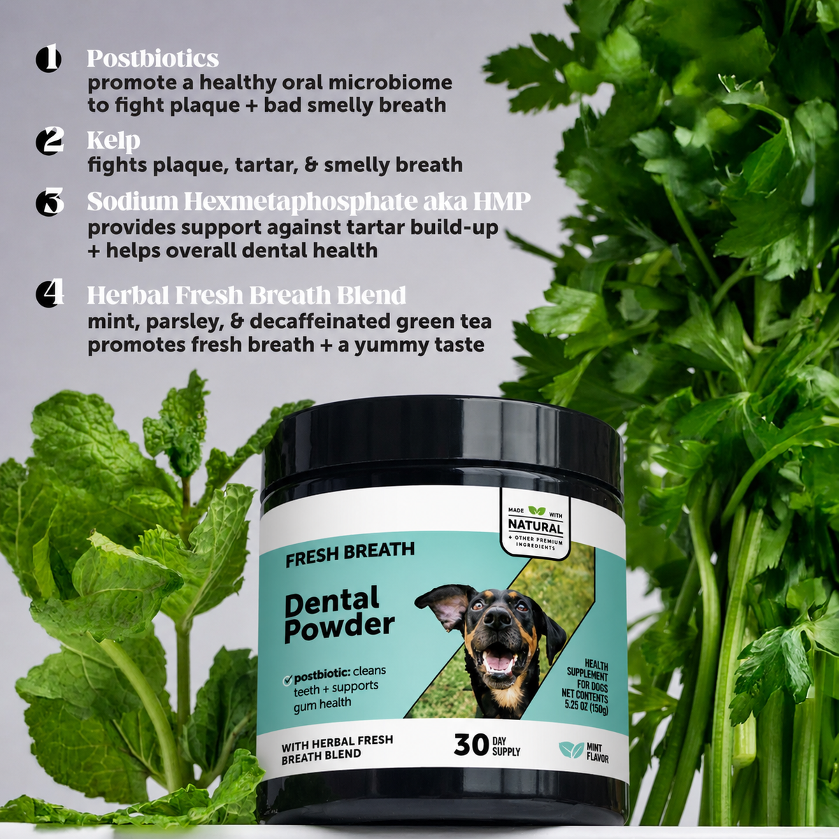 Oravive Daily Dental Support for Dogs