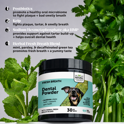 Oravive Daily Dental Support for Dogs